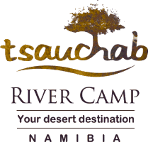 Tsauchb River Camp 2