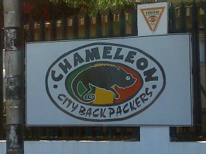 Chameleon Backpackers 2